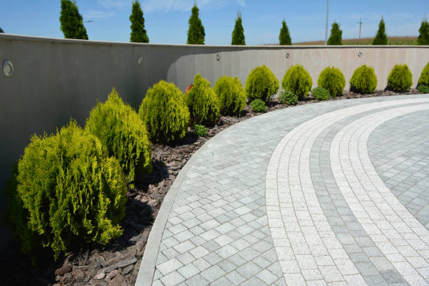 Best Driveway Repair Near Me  in La Grange, IL